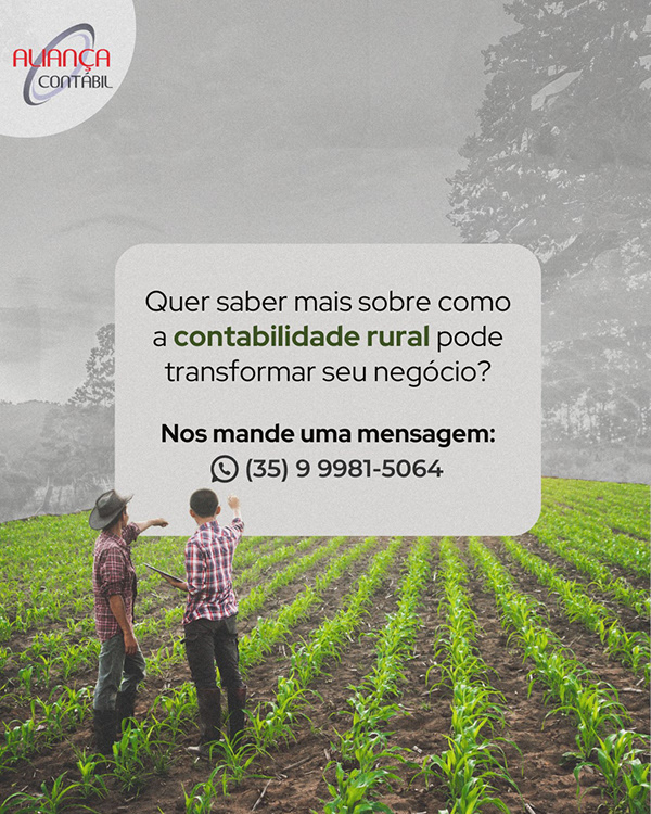 Contabilidade — peça 7